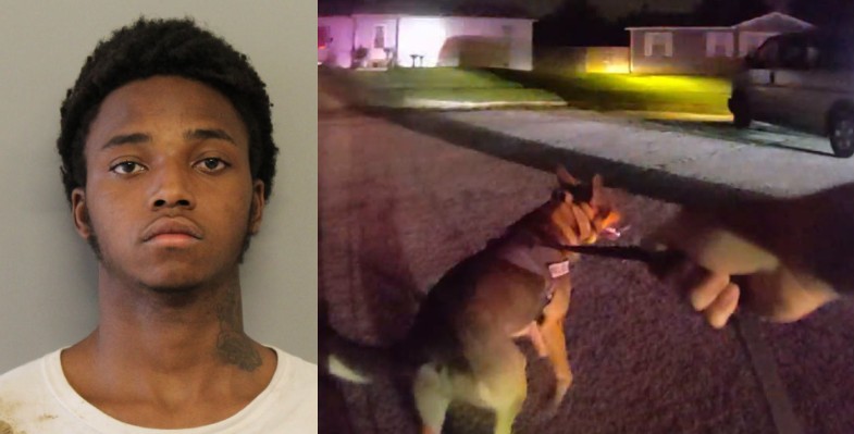 Teen Arrested After Tulsa Police Pursuit Leads to Rifle Recovery, Captured by K9 Officer